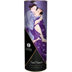 Coffret plaisirs charnels Shunga