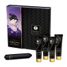 Coffret Geisha Coquine Shunga