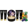 Coffret Geisha Fruits exotiques Shunga