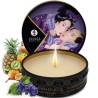 Coffret Geisha Fruits exotiques Shunga