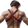 Harnais cuir poitrine Bulldog noir rouge