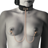 Pinces avec chaîne et collier Coquette