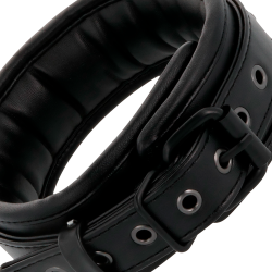 Collier, 4 entraves, laisse Darkness