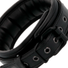 Collier, 4 entraves, laisse Darkness